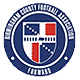 Birmingham County FA Logo